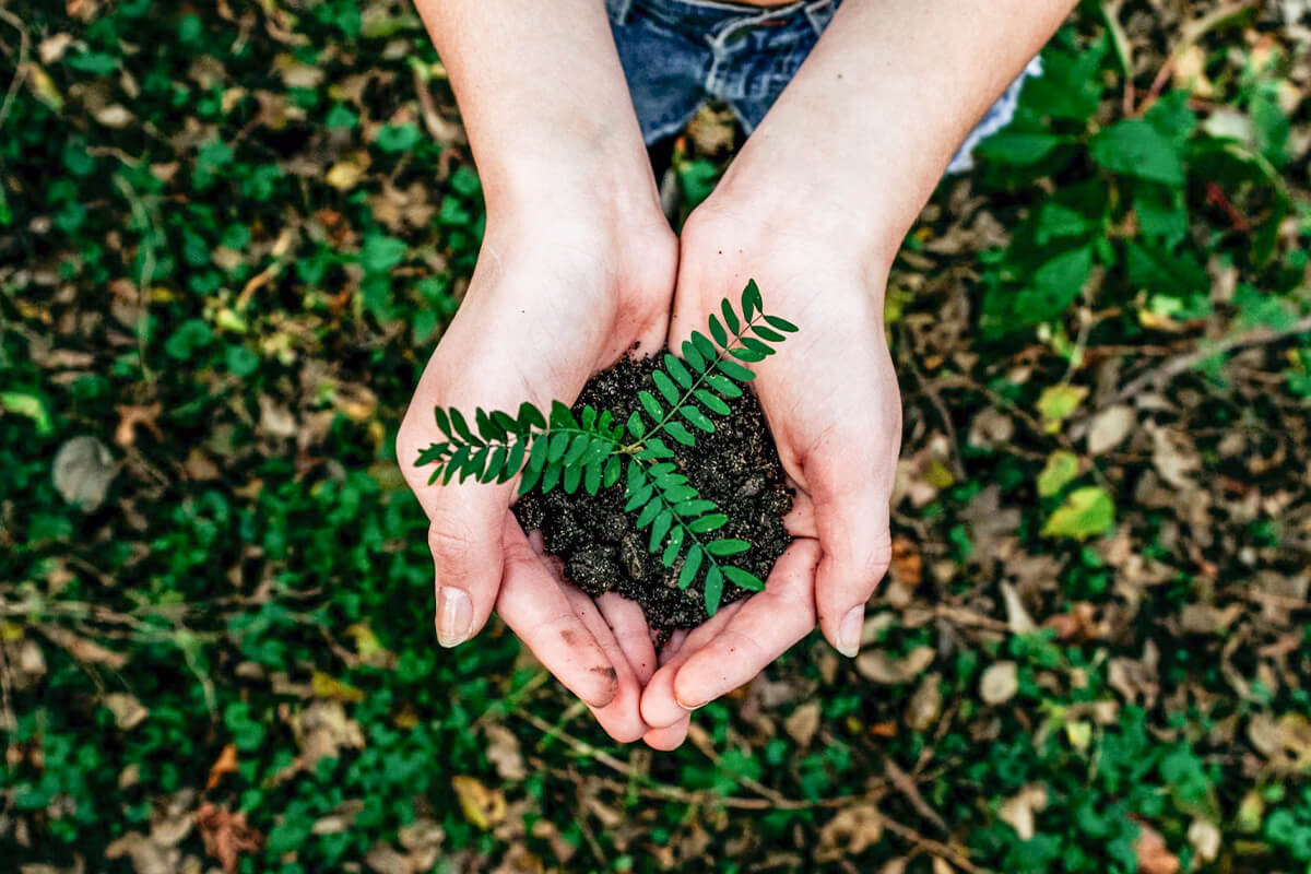 Wie Unternehmen ihren ökologischen Fußabdruck verringern können